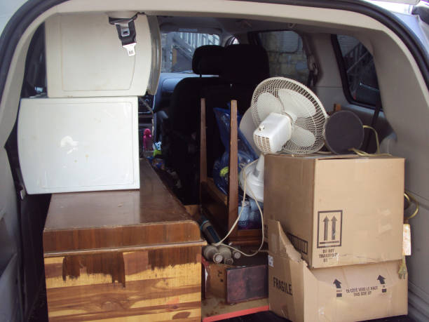 Best Carpet Removal and Disposal  in Vernon, AL
